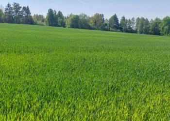 Žemės ūkis | zum.lrv.lt