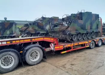 Šarvuočiai | kam.lt nuotr.