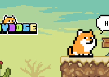 Playdoge.io nuotr.