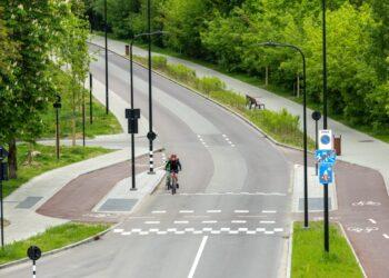 Dviračių gatvė | S. Žiūros nuotr.