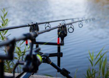 Nuo balandžio 30 d. tam tikrų rūšių dideles žuvis teks paleisti | aad.lrv.lt nuotr.