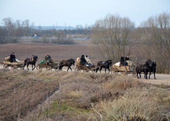 Iš Šilalės į Anykščius riedantys žemaitukų kinkiniai – galimybė prisiliesti prie mūsų istorijos | zur.lt nuotr.