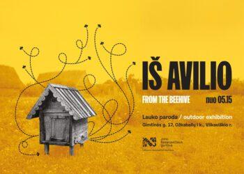 Bitės miršta, ar žinojai? Lauko paroda „Iš avilio“ Jono Basanavičiaus gimtinėje | lnm.lt nuotr.