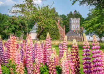 Alina Orlova Burbiškio dvare kviečia pasinerti į poetinį muzikinį sapną | L. Prascevičiūtės nuotr.