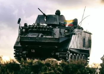 Šarvuočiai | KAM, A. Čemerkos nuotr.