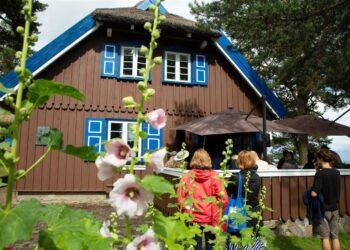 T. Mano muziejus kvies į kamerinės muzikos koncertą | L. Motuzienės nuotr.