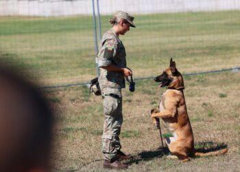 LK kinologai | PJVIB nuotr.