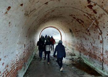 Kauno tvirtovė – tarp gamtos ir paveldo apsaugos reikalavimų | vkpk.lt nuotr.