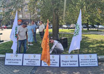 Mitingas | alkas.lt A. Sartanavičiaus nuotr.