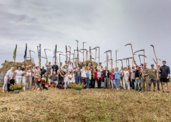 Nacionalinis šienjpovių čempionatas. Rupkalviai delta | bef.lt nuotr.