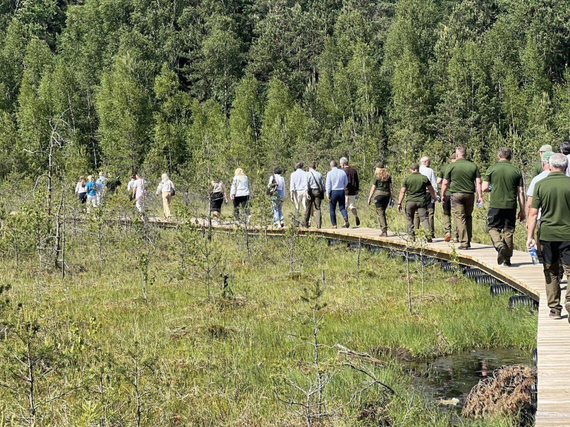 Valstybinės miškų urėdijos FB paskyros nuotr.