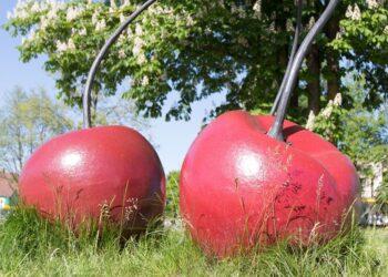 Kasmet trečiąjį liepos savaitgalį Žagarėje ryškiausiai pasklinda vyšnių kvapas! | vstt.lrv.lt nuotr.
