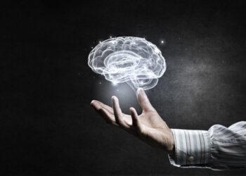 Smegenys | „Fotolia“ nuotr.