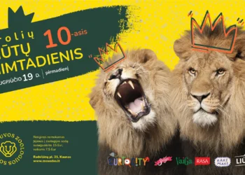 „Garsiausi“ broliai liūtai kviečia paminėti 10-ąjį gimtadienį | zoosodas.lt nuotr.
