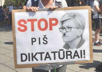 I. Vėgėlė. Apie eilinį I. Šimonytės melą