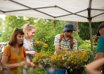 VU botanikos sode – žolynų pažinimo kelionė: kas laukia „Žolinėk’ 24“ programoje? | vu.lt nuotr.