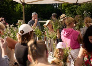 VU botanikos sode – žolynų pažinimo kelionė: kas laukia „Žolinėk’ 24“ programoje? | vu.lt nuotr.