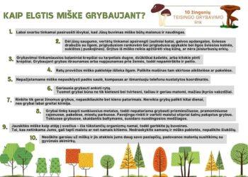 Grybauti galima visuose Lietuvos miškuose, išskyrus rezervatus | am.lrv.lt nuotr.