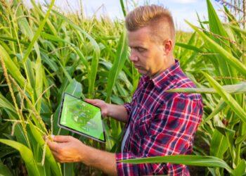 Kovoje su kenkėjais cheminius pesticidus keičia natūralūs pagalbininkai | vdu.lt nuotr.