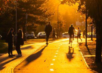 Dviračių takas | S. Žiūros nuotr.