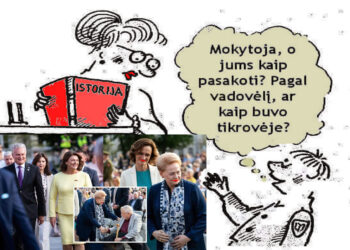 Katedros aikštėje politikos elitas rinkosi į ypatingą koncertą Baltijos kelio sukakčiai paminėti | Alkas.lt koliažas