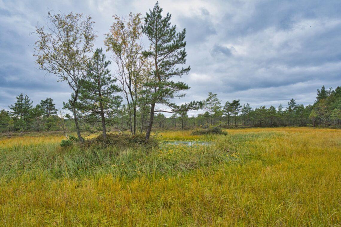 Draustinis | am.lrv.lt nuotr.