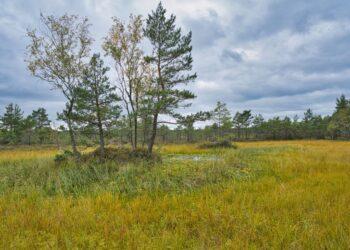 Draustinis | am.lrv.lt nuotr.