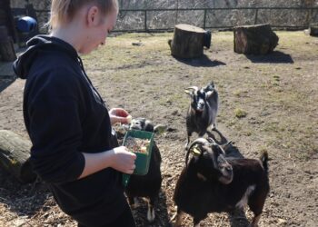 Lietuvos zoologijos sodo savanoriai | zoosodas.lt nuotr.